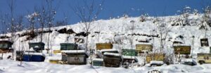 Zima na pčelinjaku, Blog, Pčelarska oprema