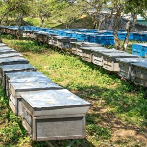 Pčelarska oprema, Košnice i dijelovi