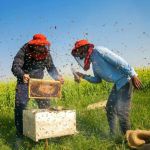 Pčelarska oprema, Ostalo