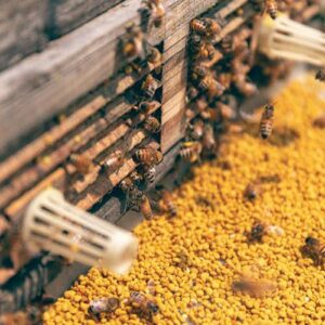 Pčelarska oprema, Prihrana za pčele