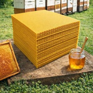 Pčelarska oprema, Satna osnova