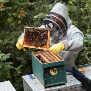 Pčelarska oprema, Zaštitna odjeća