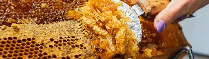 Otkup pčelinjeg voska, Pčelarska oprema, Agro Simpa d.o.o.